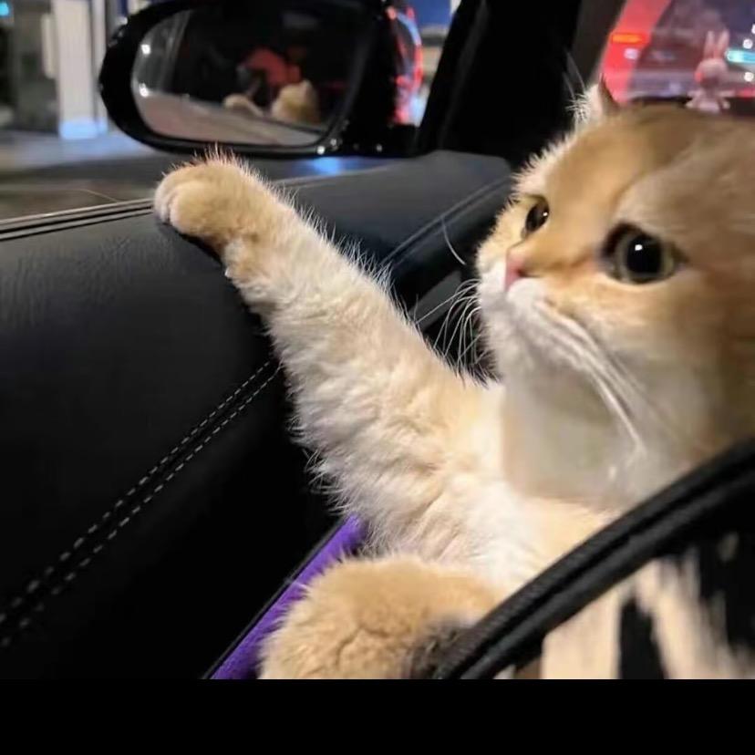 便态（暗区突围）