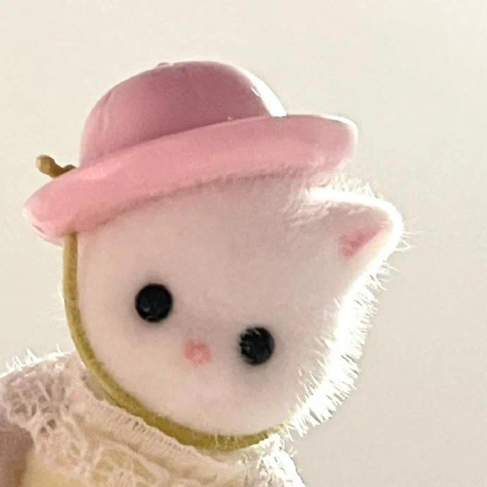 咪咪喵