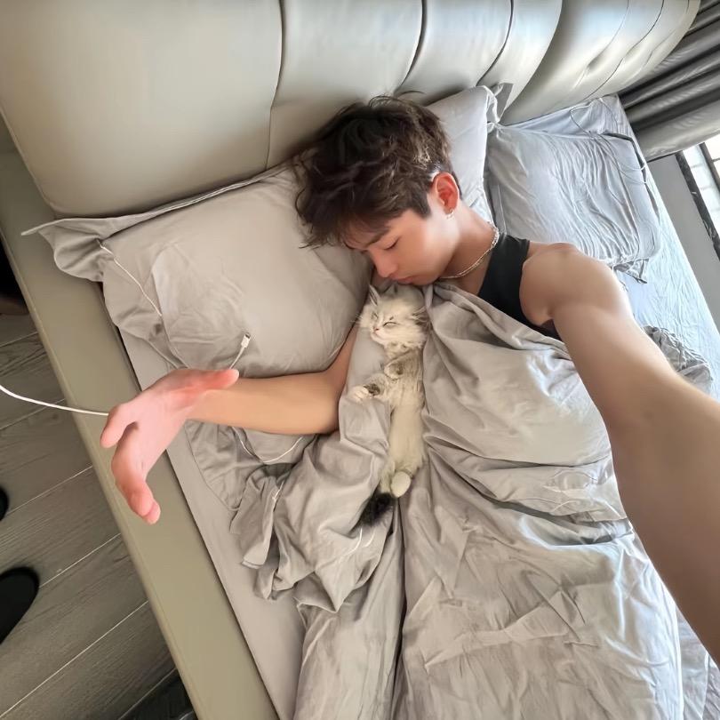 一只羊