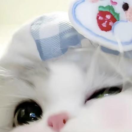 许愿风yy