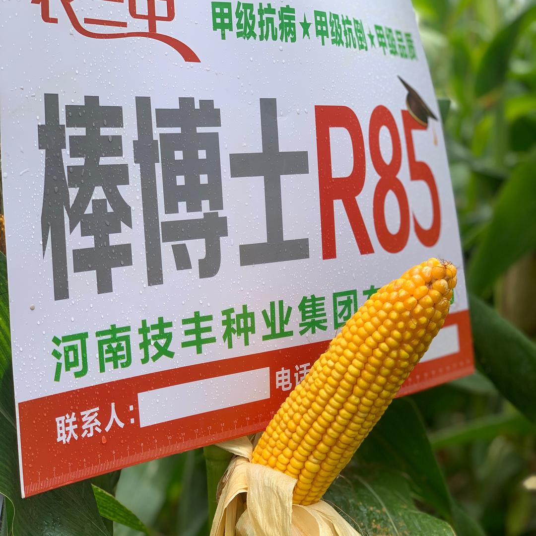 「农三甲」钰农种业
