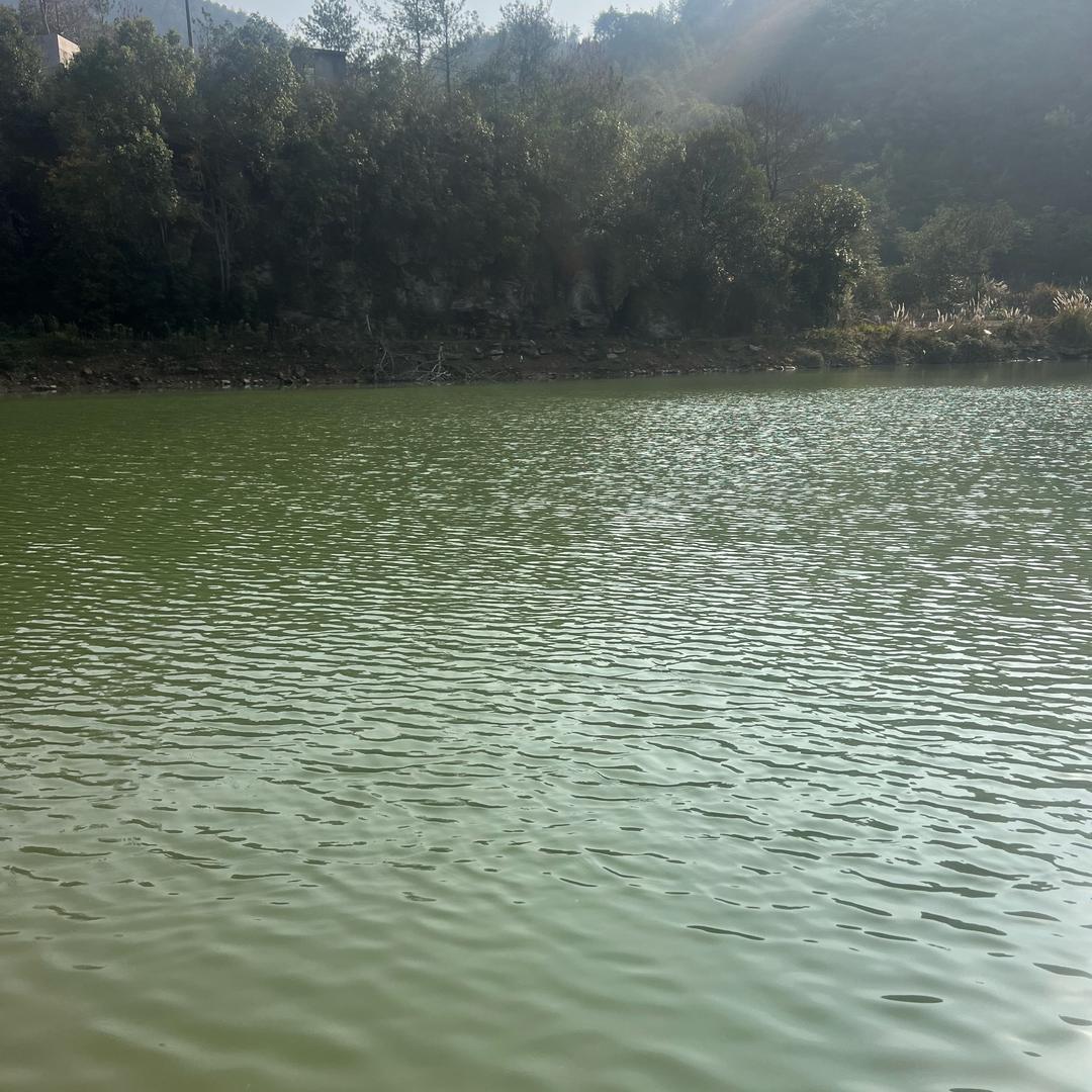 渔乐江湖