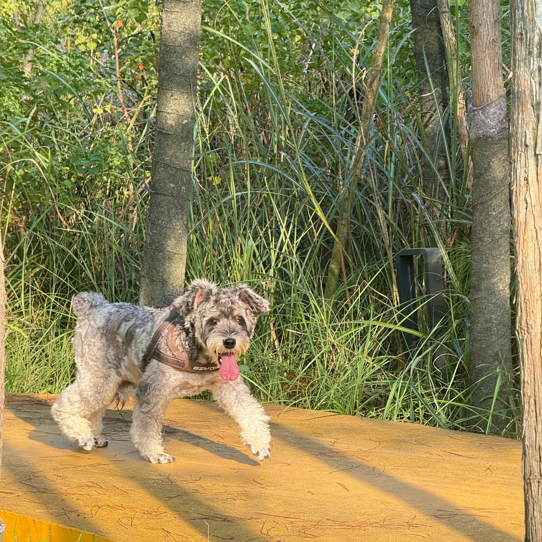 钱爆爆（桓盛新）