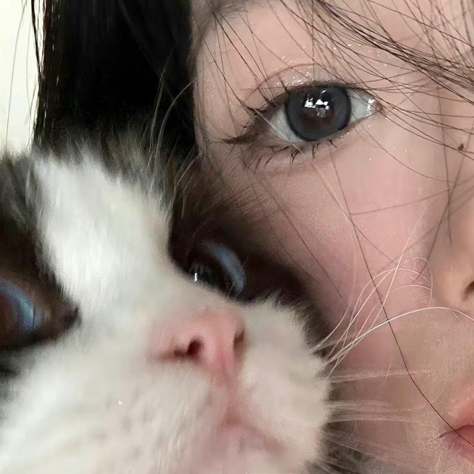 小杏运