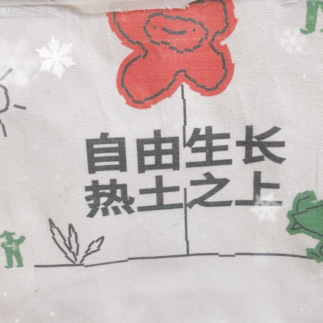 自由之徒阿米诺斯