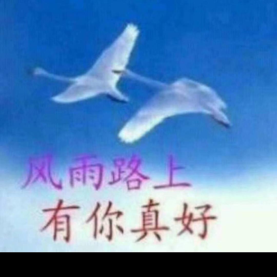 ☀️一路阳光☀️