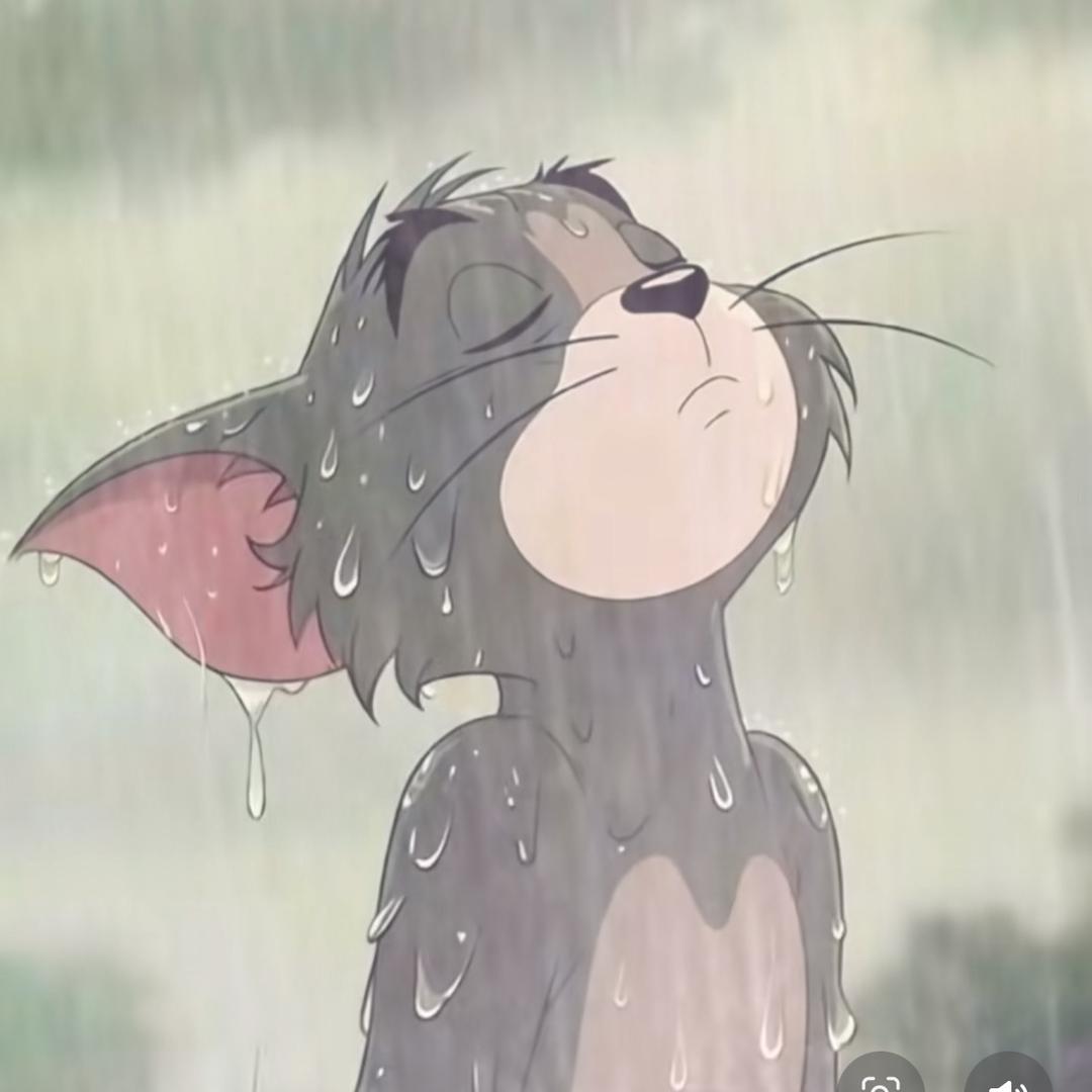珊悦