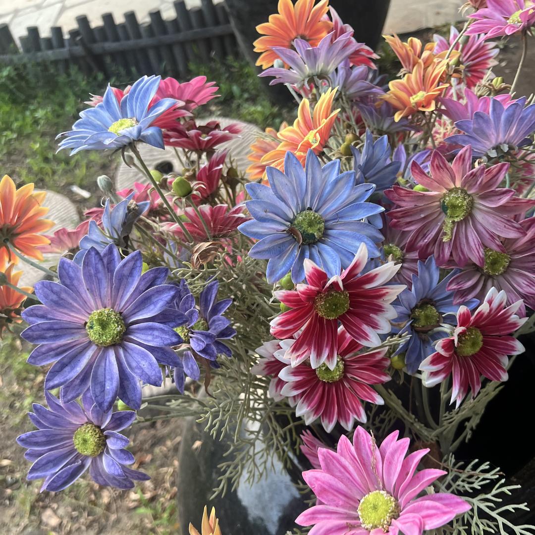 赵灰灰百货