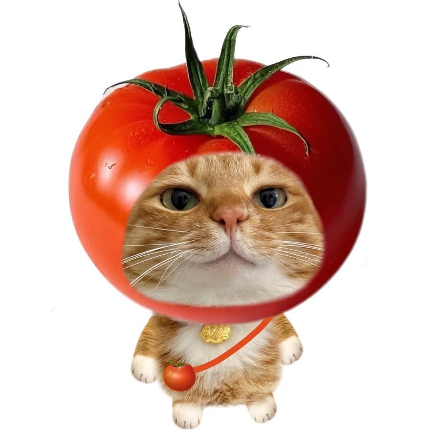 关你什么柿🍅
