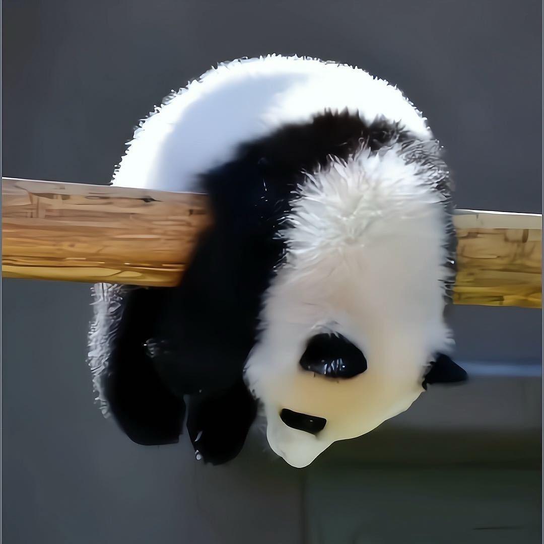 发大财