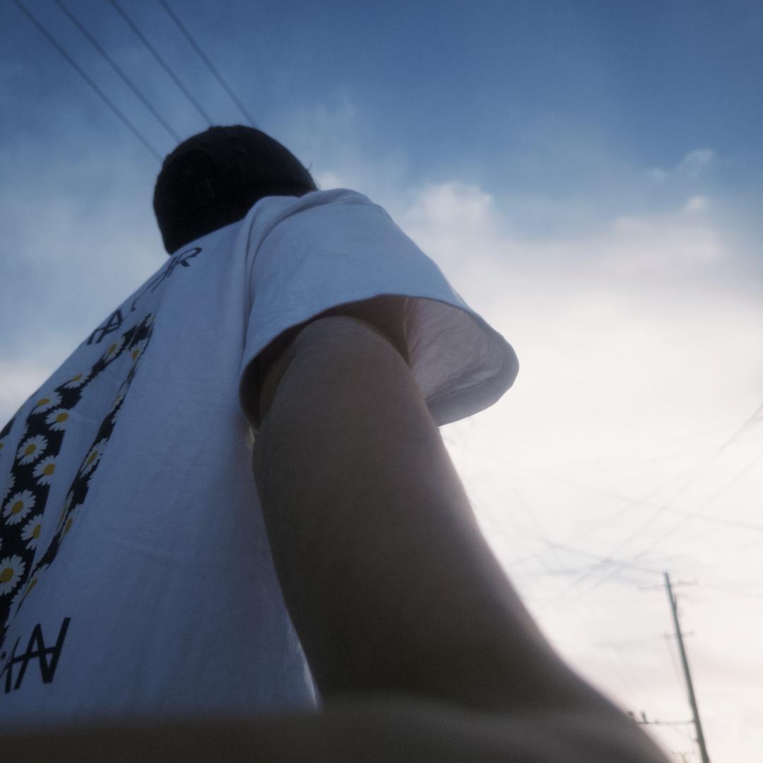 春禾风_