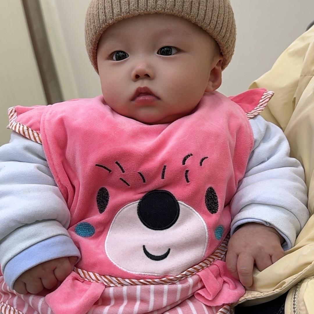 辰辰再来