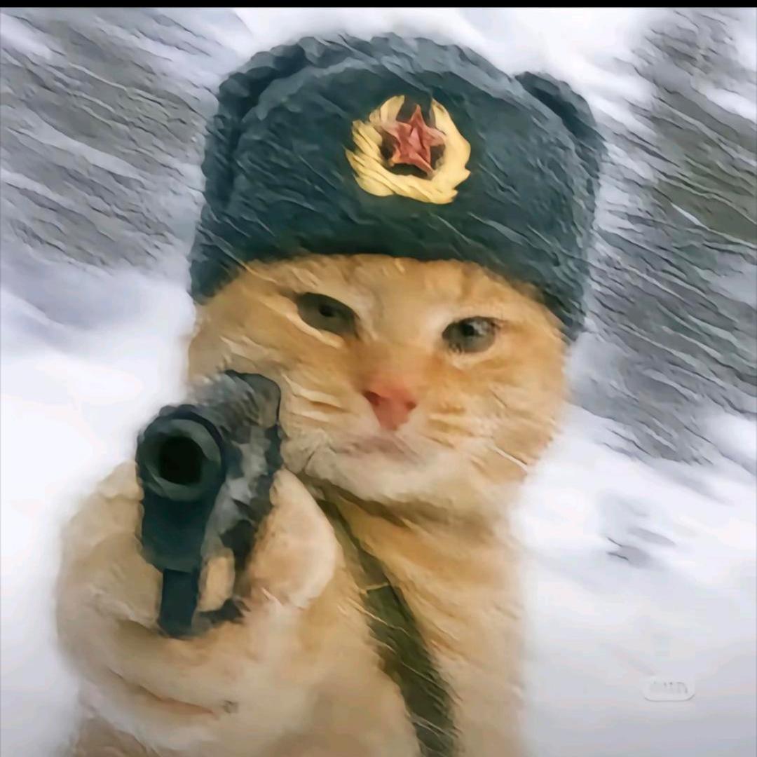 睡懒觉.