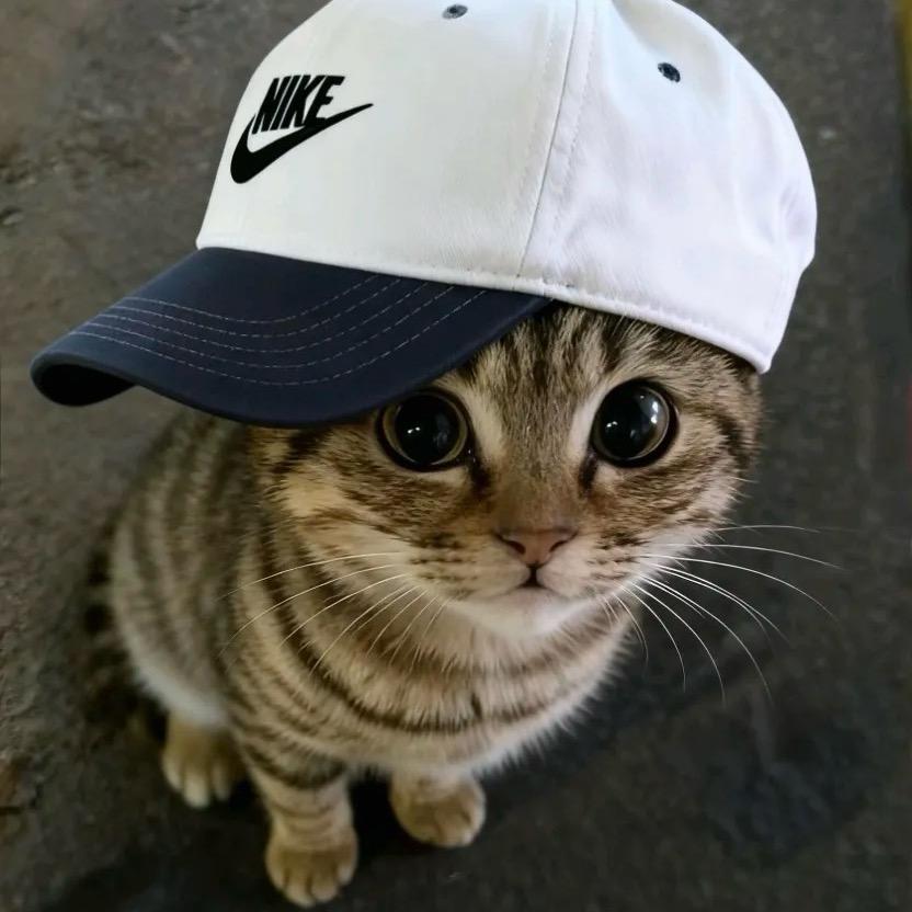 蚂蚁