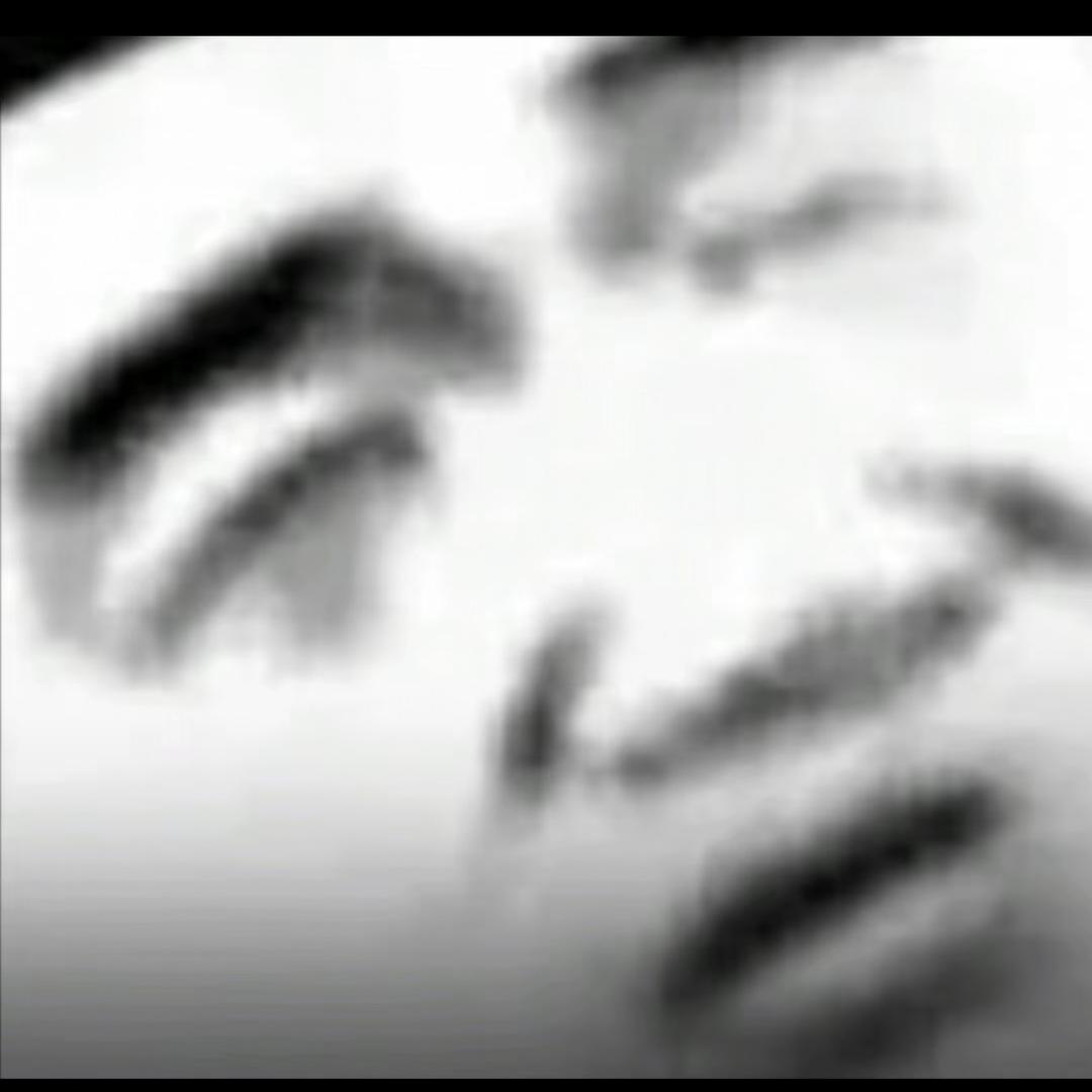 死鬼有洁癖.🐦