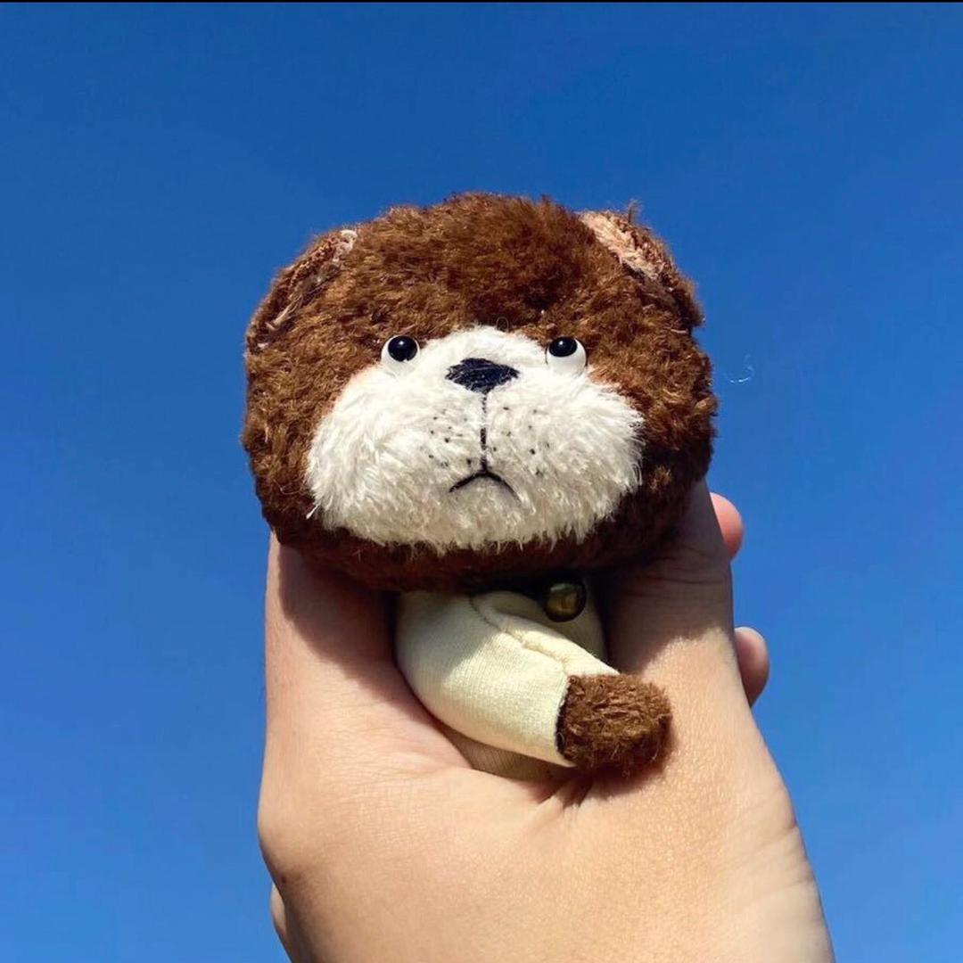 吴摆摆