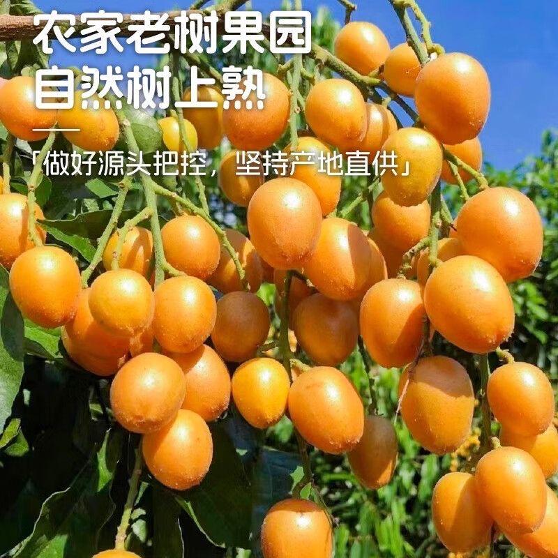 半山果甜