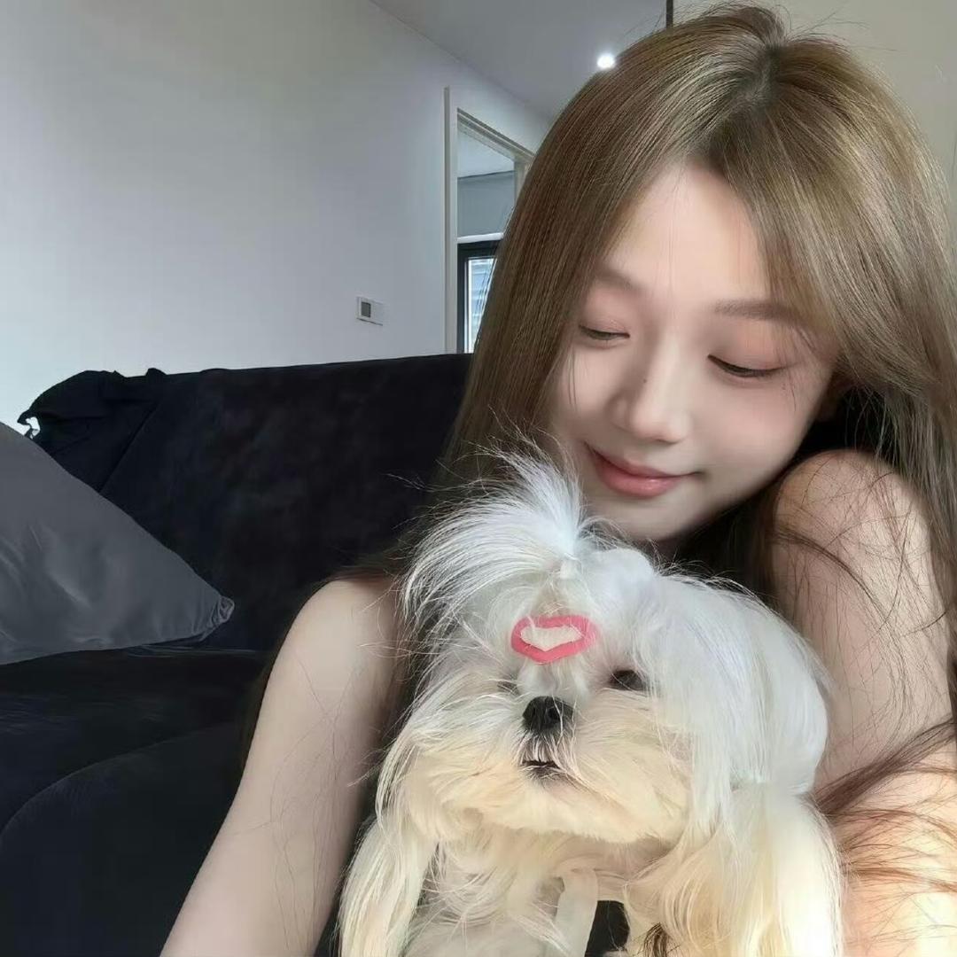 社恐的小y