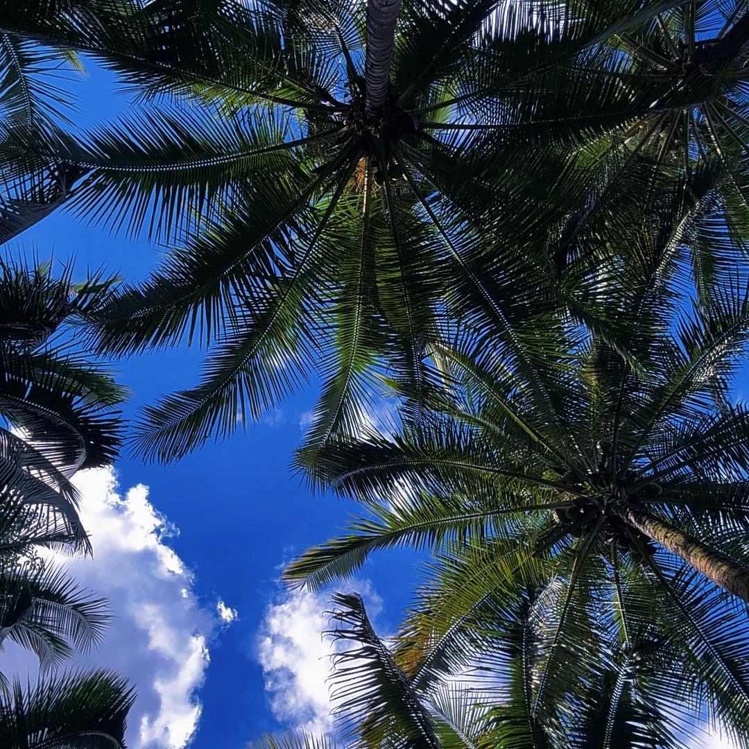 喜宝地摊（瑶瑶）