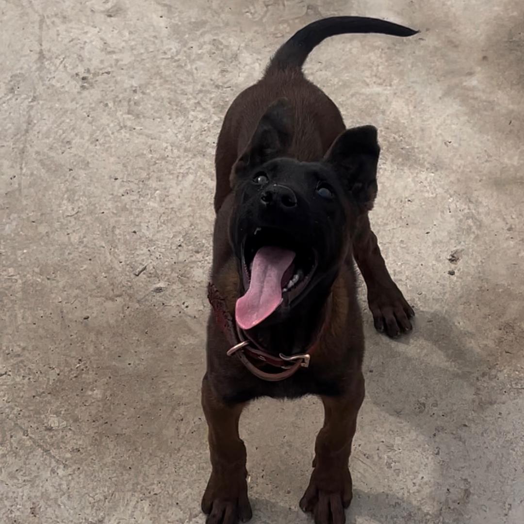 七七八八（朋友圈）