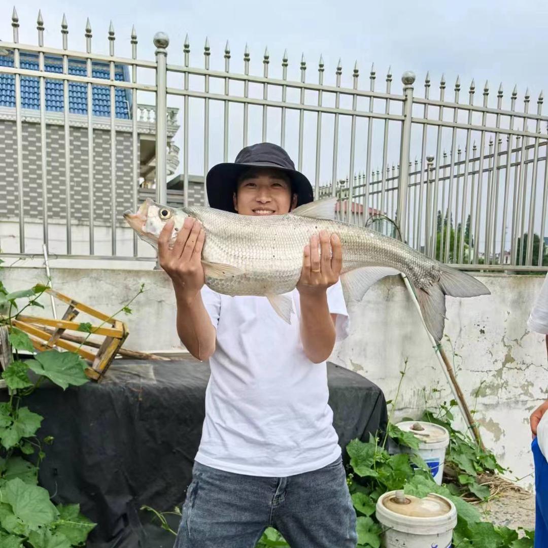 顾唐杰