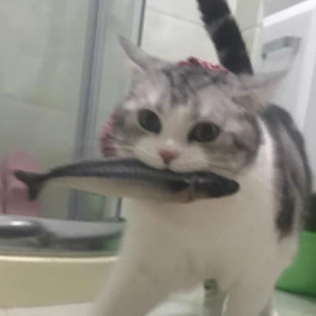 鱼摆摆