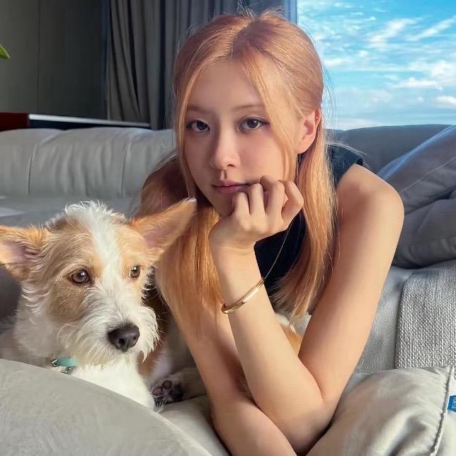 爱吃香菜