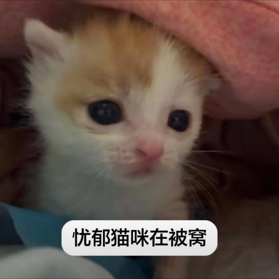油爆脆鸡脚.