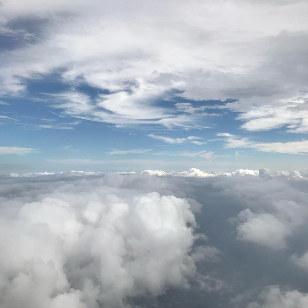 牛马俱乐部（跑刀直播号）