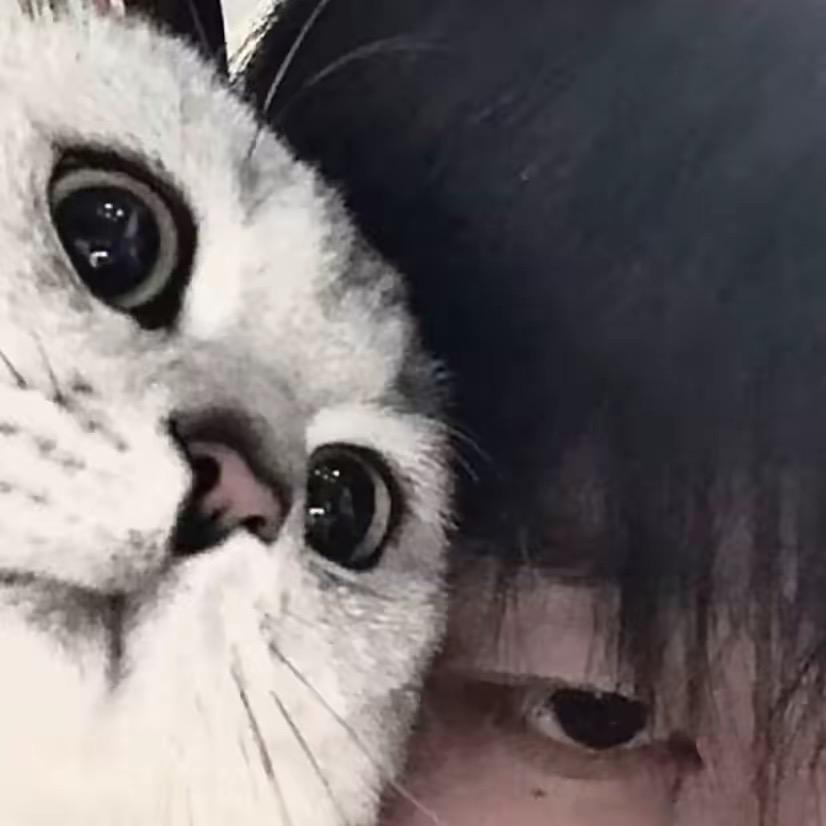 叫不醒