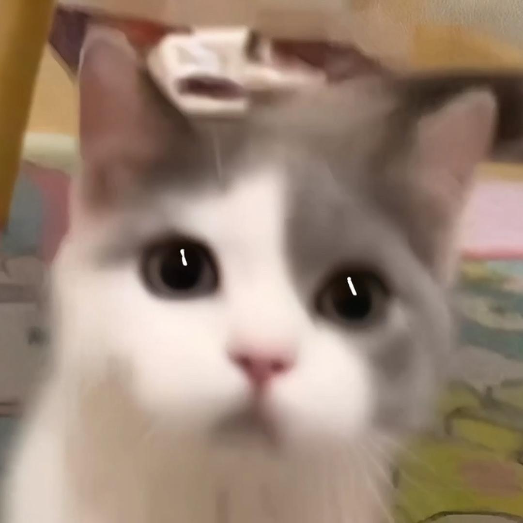 你的一一