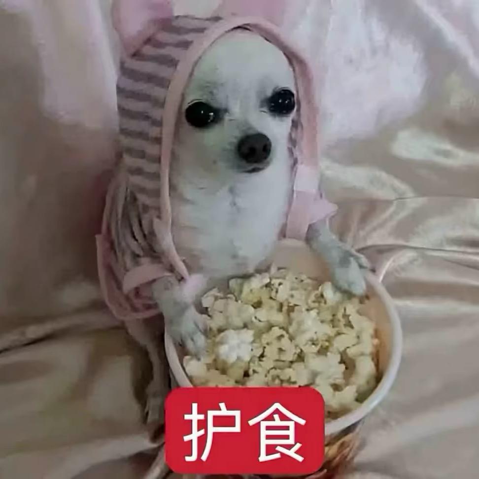 野猪亨利