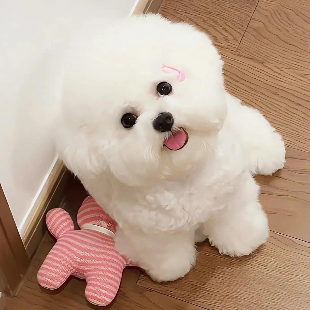 灑灑