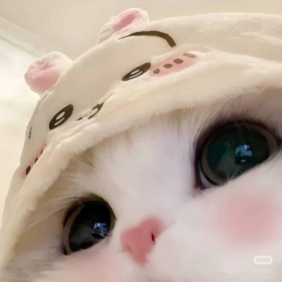 布嘻嘻