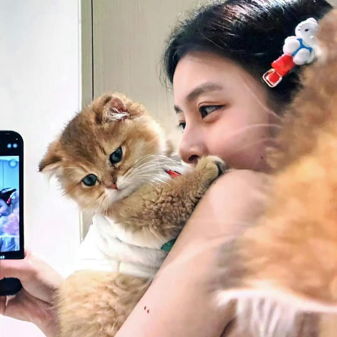 我是糕手