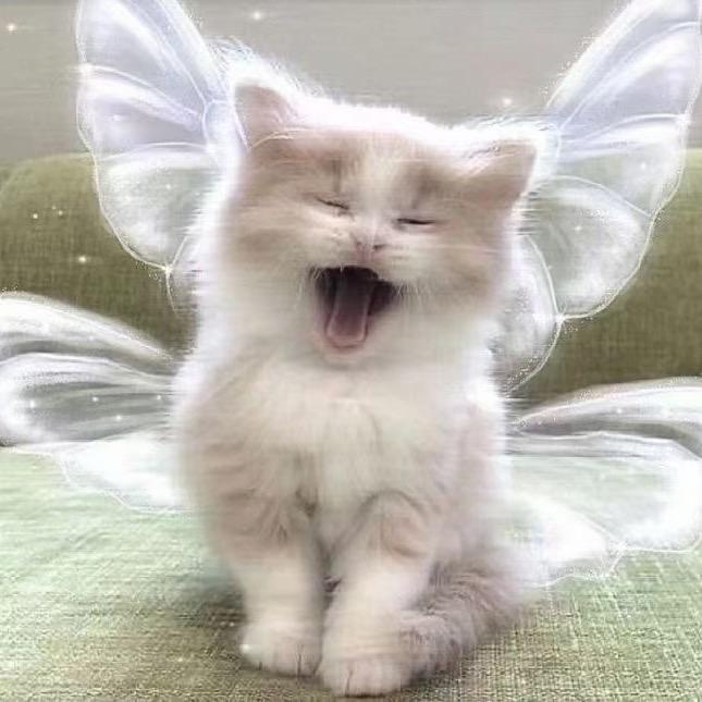 心摆正.
