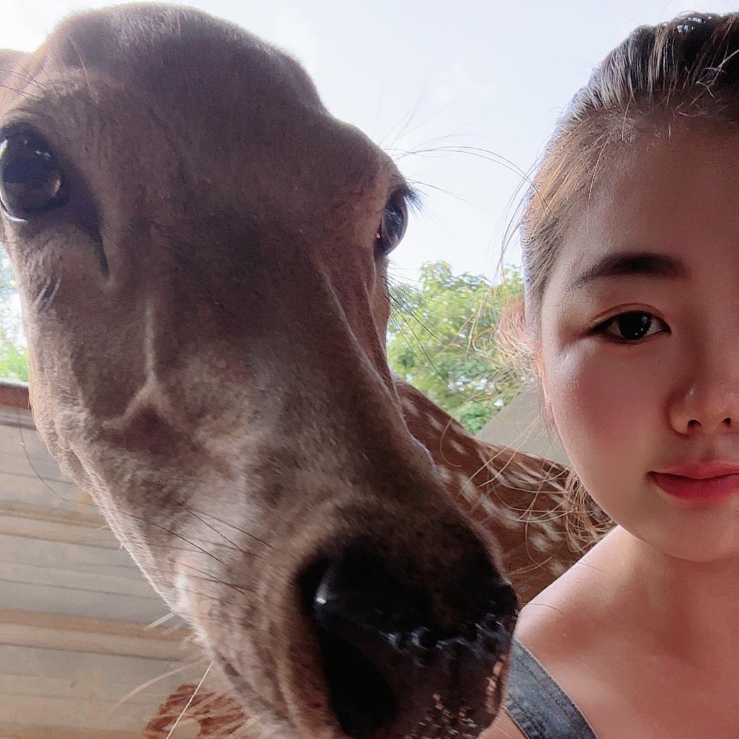 🦌过小妹梅花鹿养殖基地