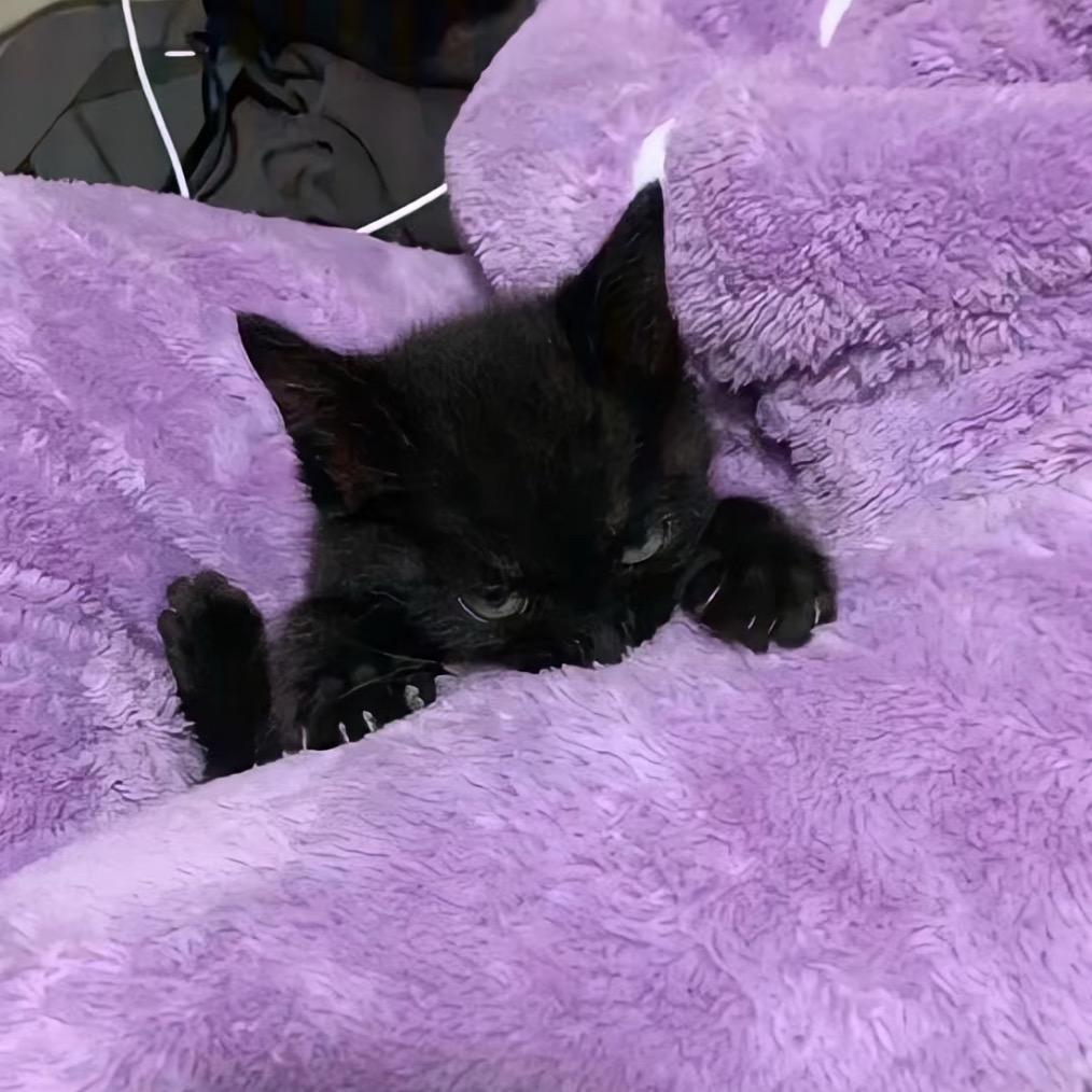 潮涌据点（三角洲行动）