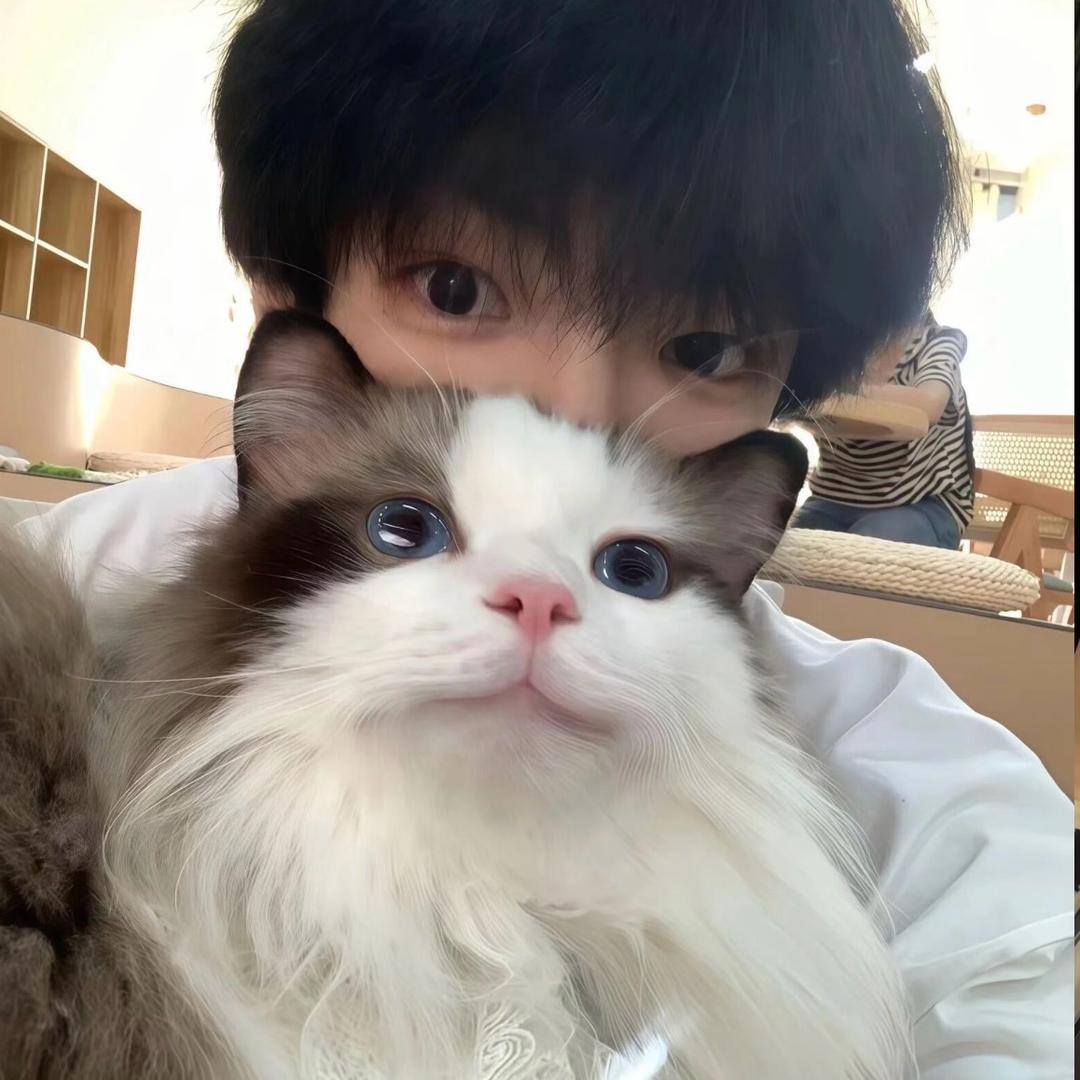 小小玉米