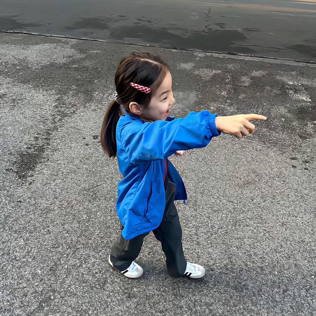 岳飞剑