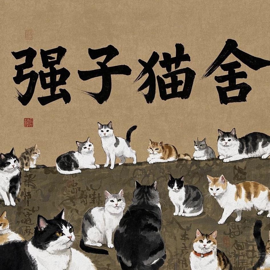 强子猫舍（直播号）