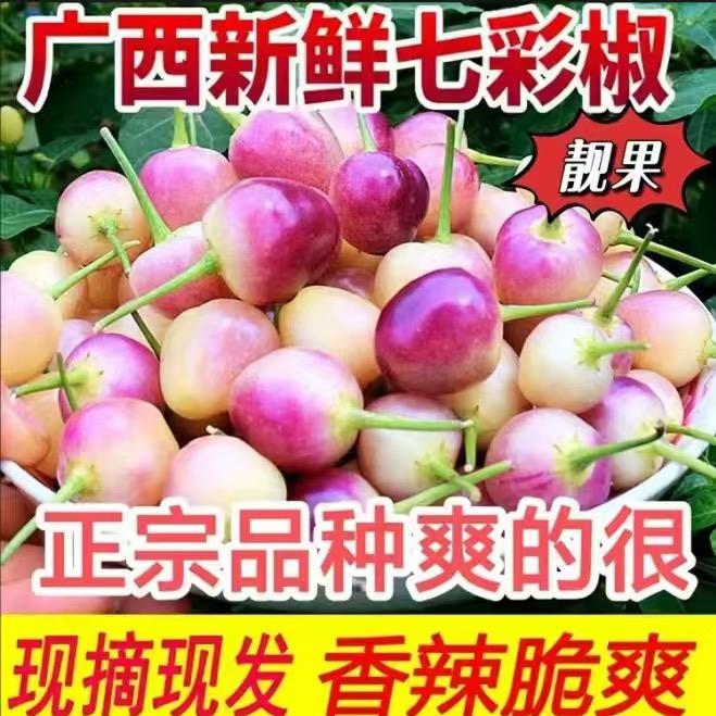 容县沙田柚直发