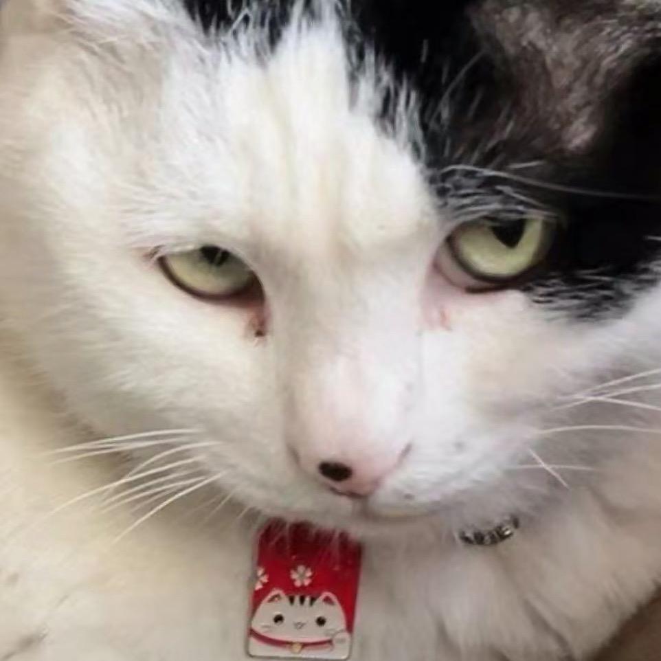 走散在时间里穿梭