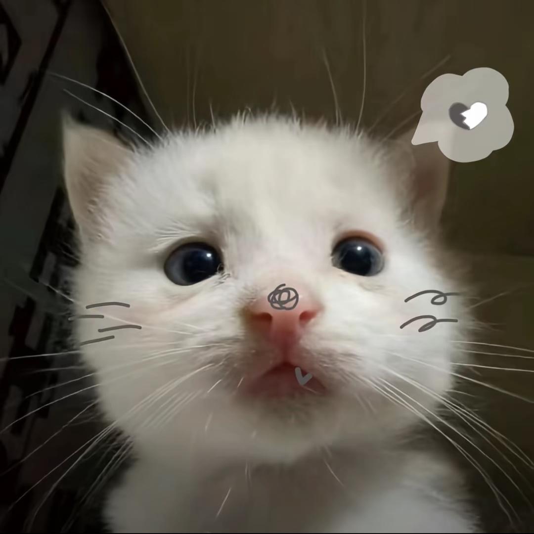 十七还被收手机