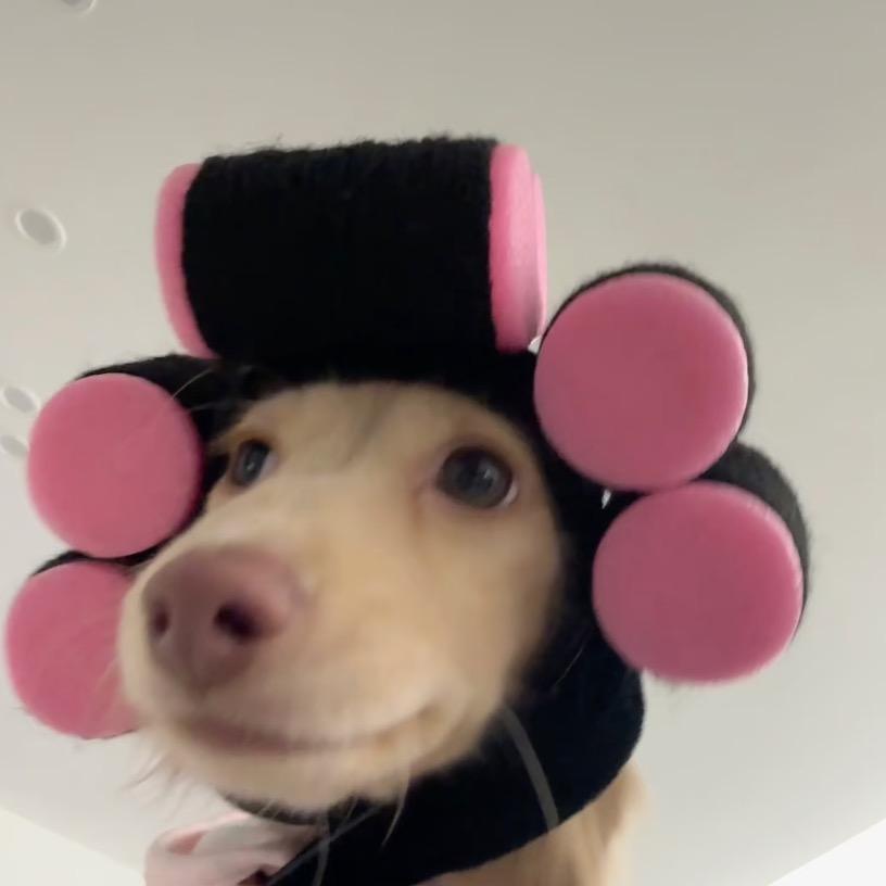 我就犟