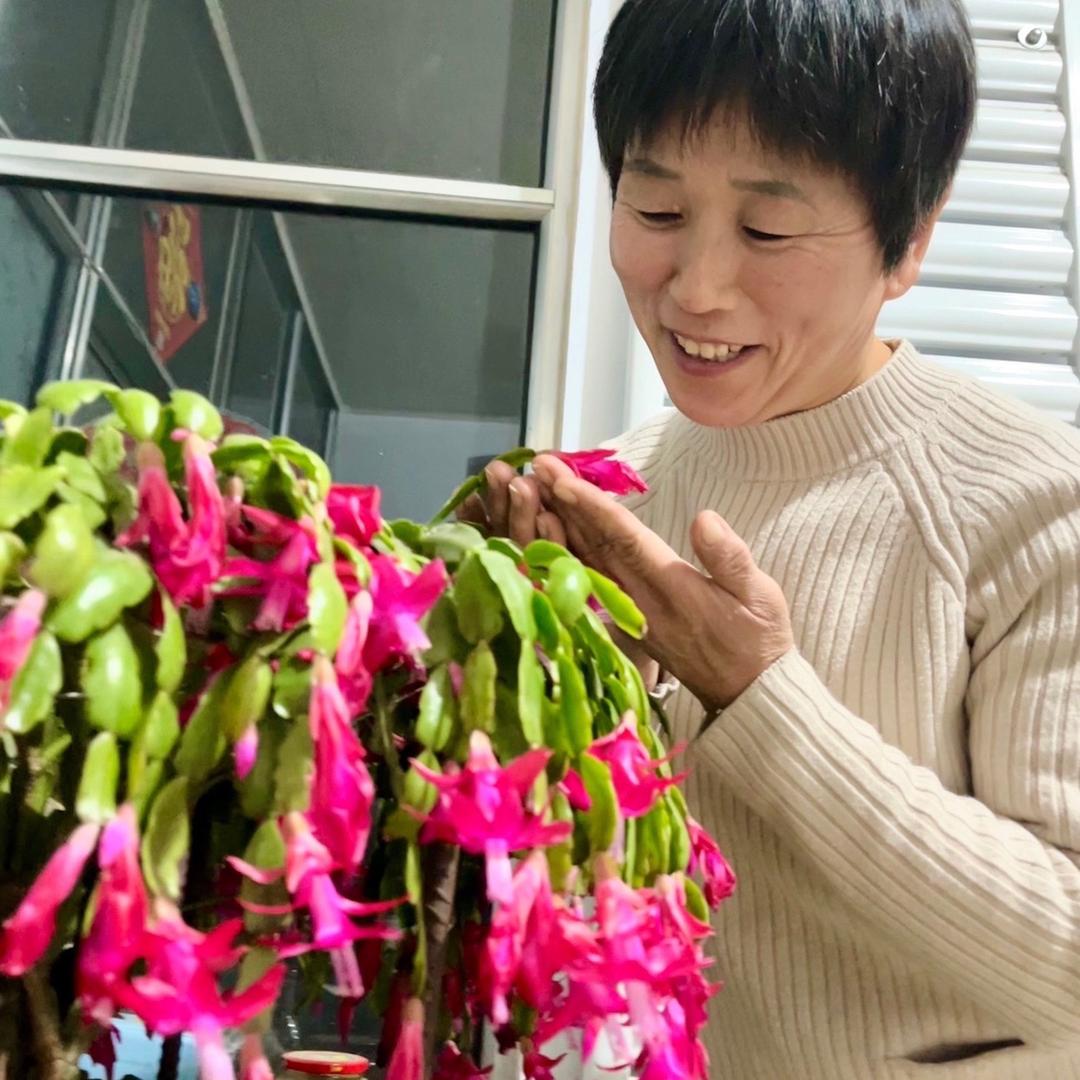 崔家庄友全车业雅迪  福田五星  金彭