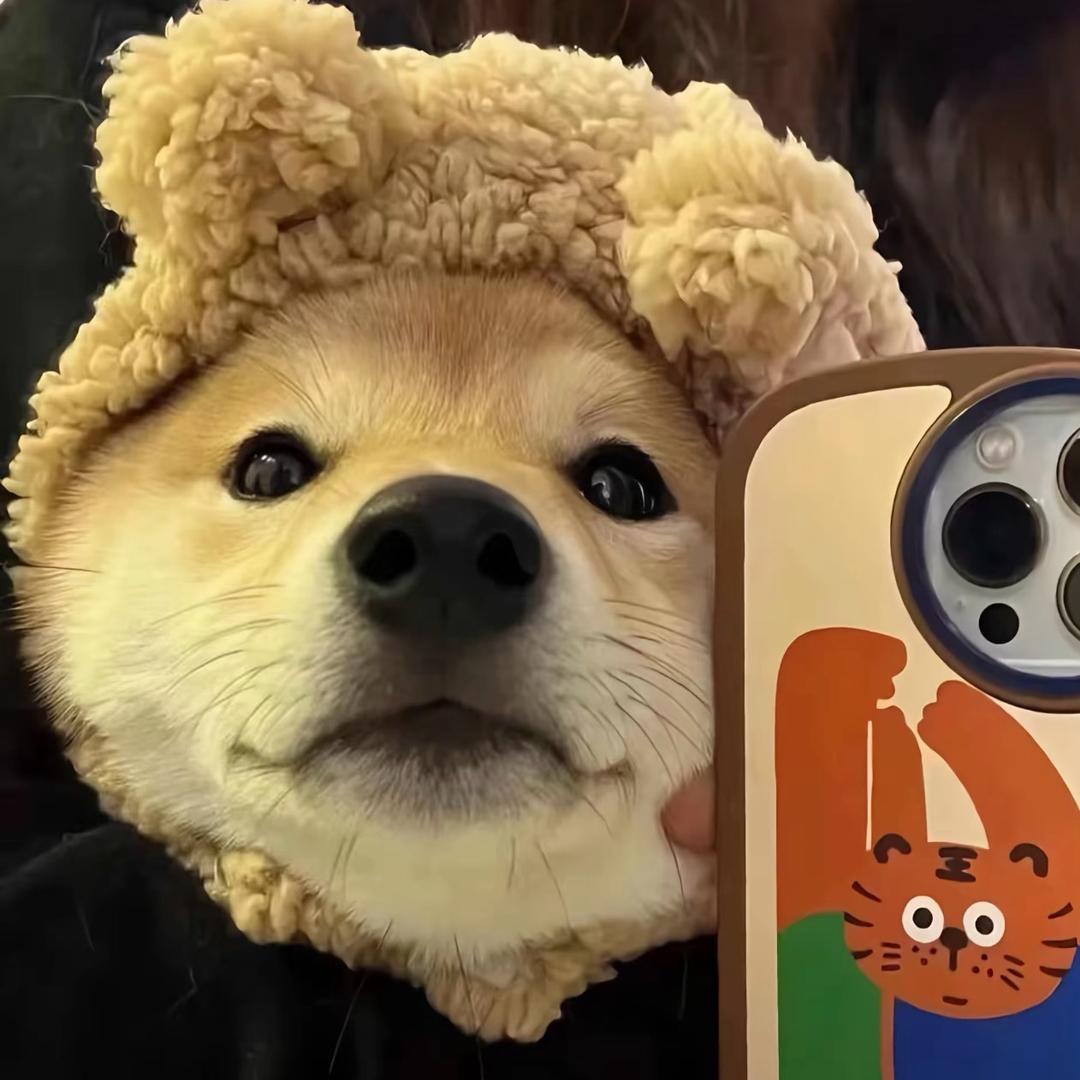 自律小南