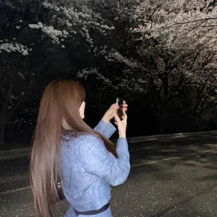 理智的栀.