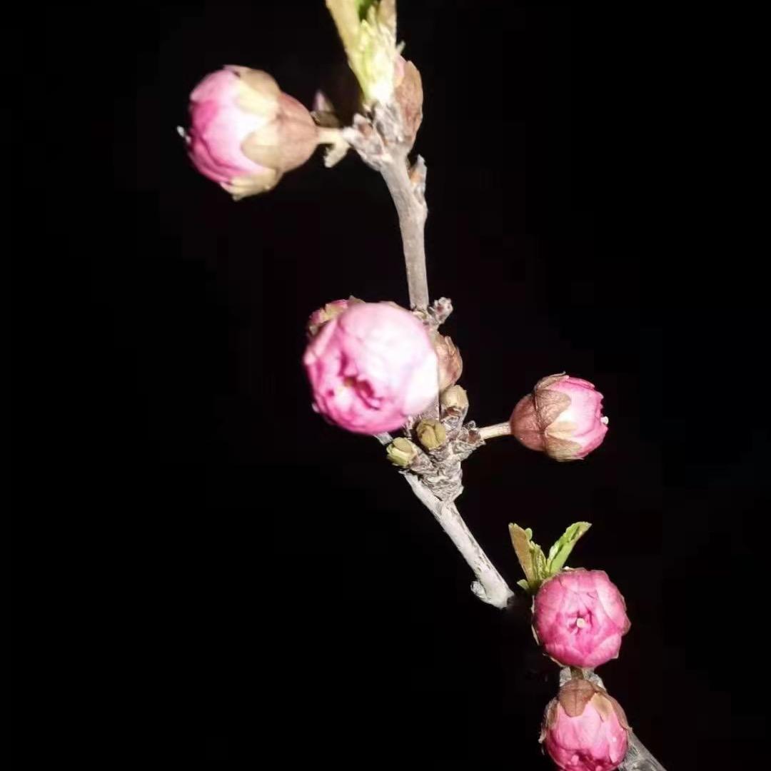 💕幸福美满💕