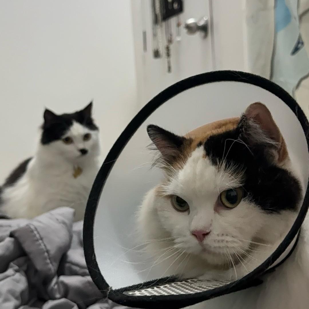 不发脾气只发财（来财版）